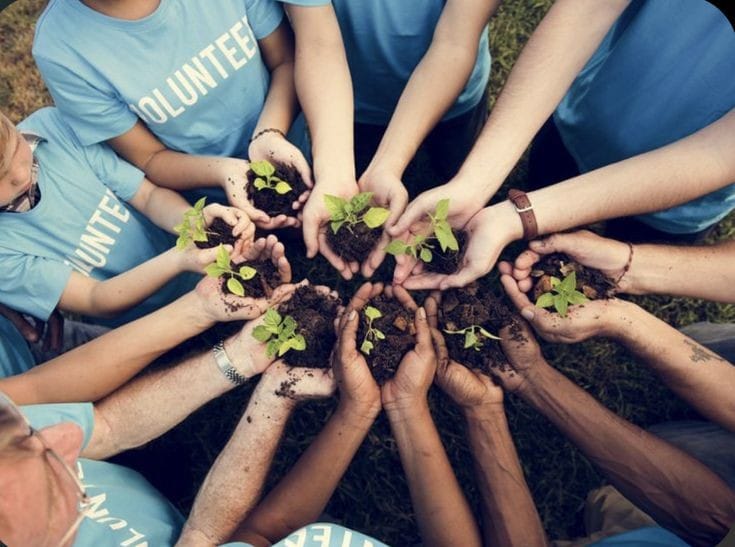 WhatsApp Image 2025-04-02 at 11.51.17 AM.jpeg